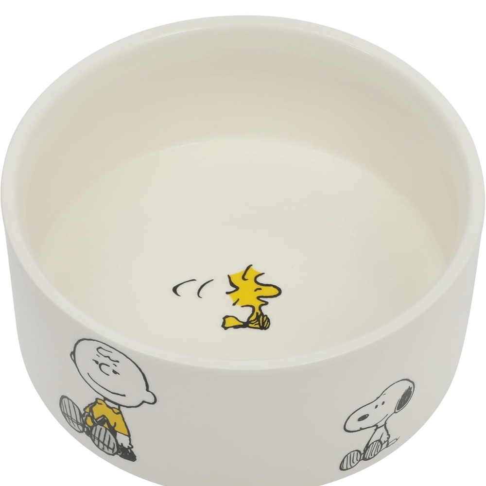 Peanuts Character Pet Bowl